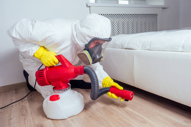 Best Pest Control Treatment  in Double Springs, AL