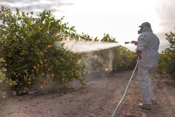 Best Pest Control Near Me  in Double Springs, AL