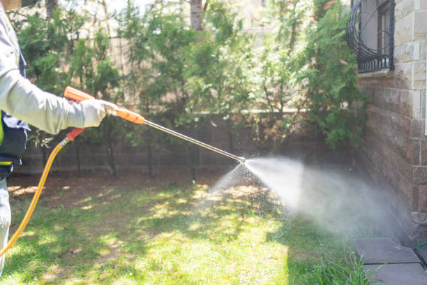 Best Commercial Pest Control Services  in Double Springs, AL