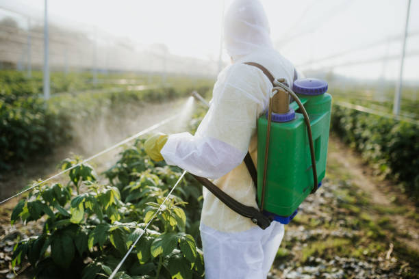 Trusted Double Springs, AL Pest Control Experts